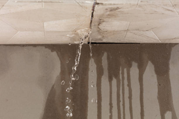 Professional Structural Drying technician working in Ennis, TX